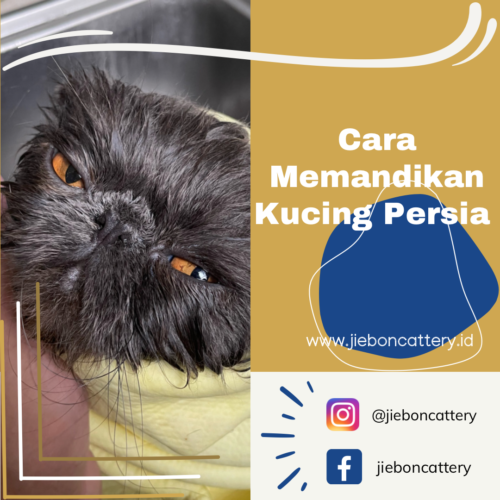 212B7F7A-D98A-48FE-9C0F-6C86451C28C8