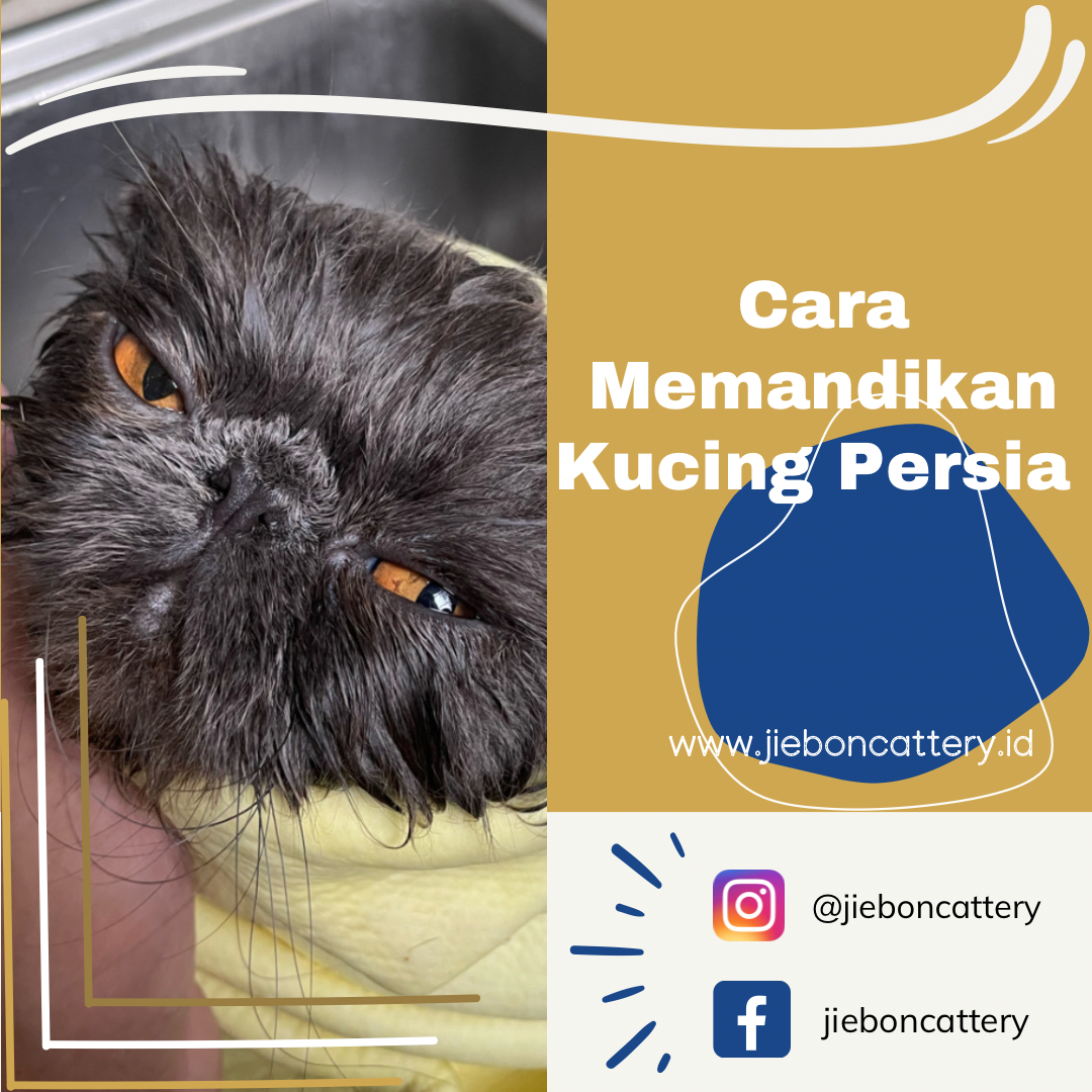 212B7F7A-D98A-48FE-9C0F-6C86451C28C8