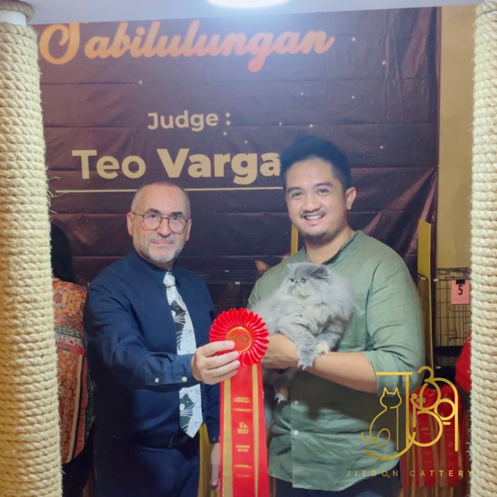 8AD8AC95-E24C-4F9F-9110-88D22DAF9939