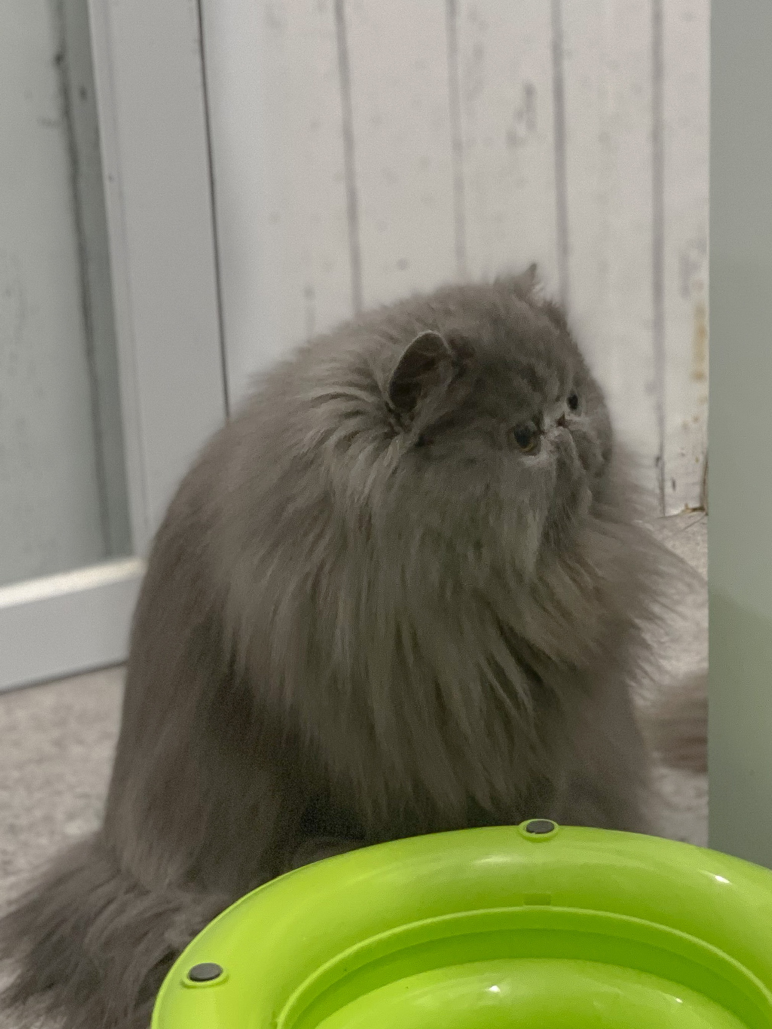 9A89C9D9-F081-46CF-B11D-D848E70EA56B