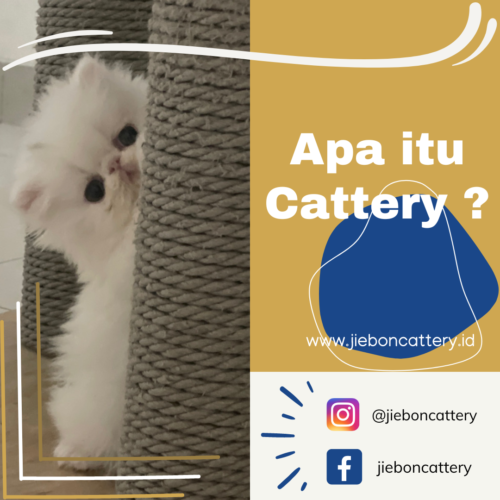 A3CF9C46-6A98-480E-B447-DDFDF2E41D59