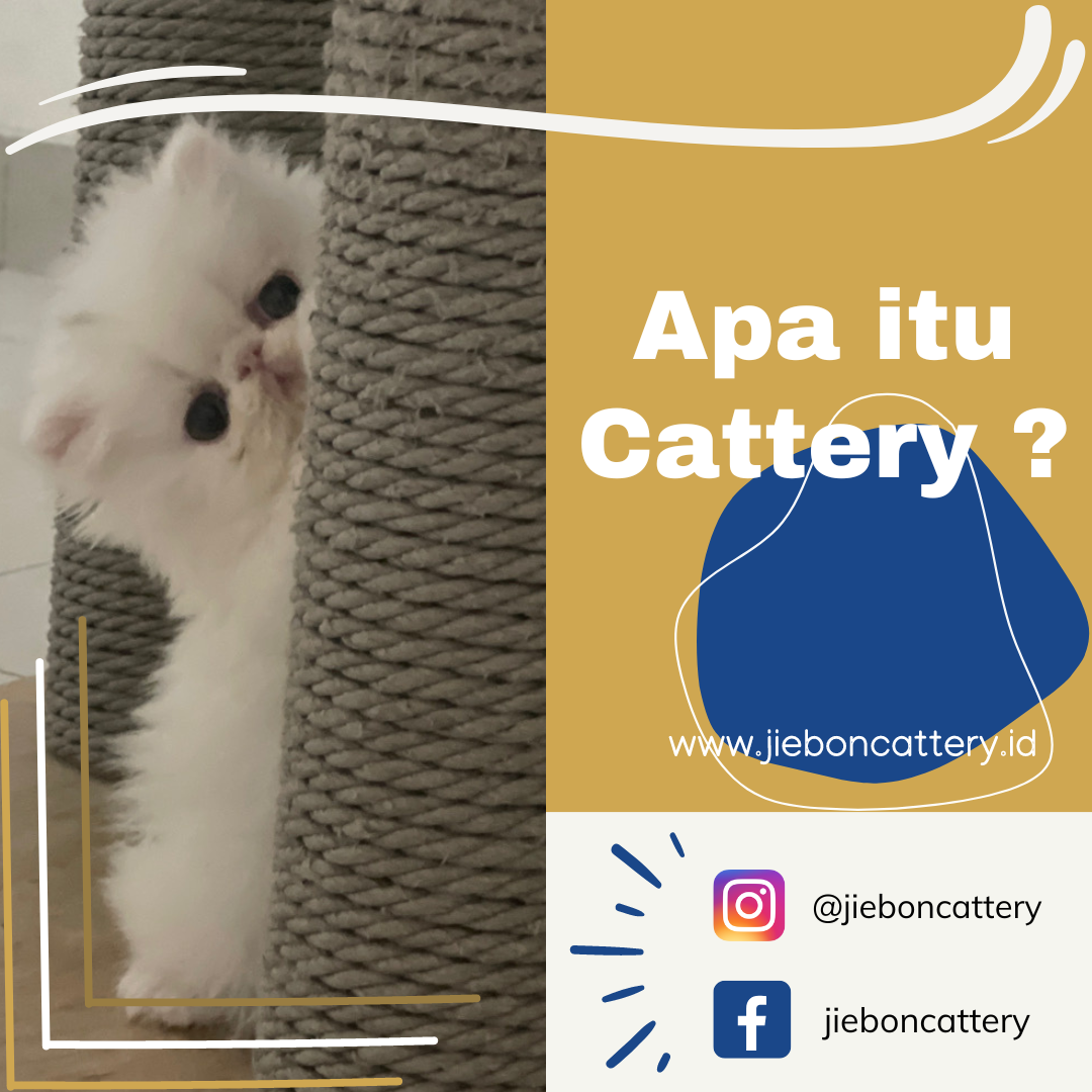 A3CF9C46-6A98-480E-B447-DDFDF2E41D59