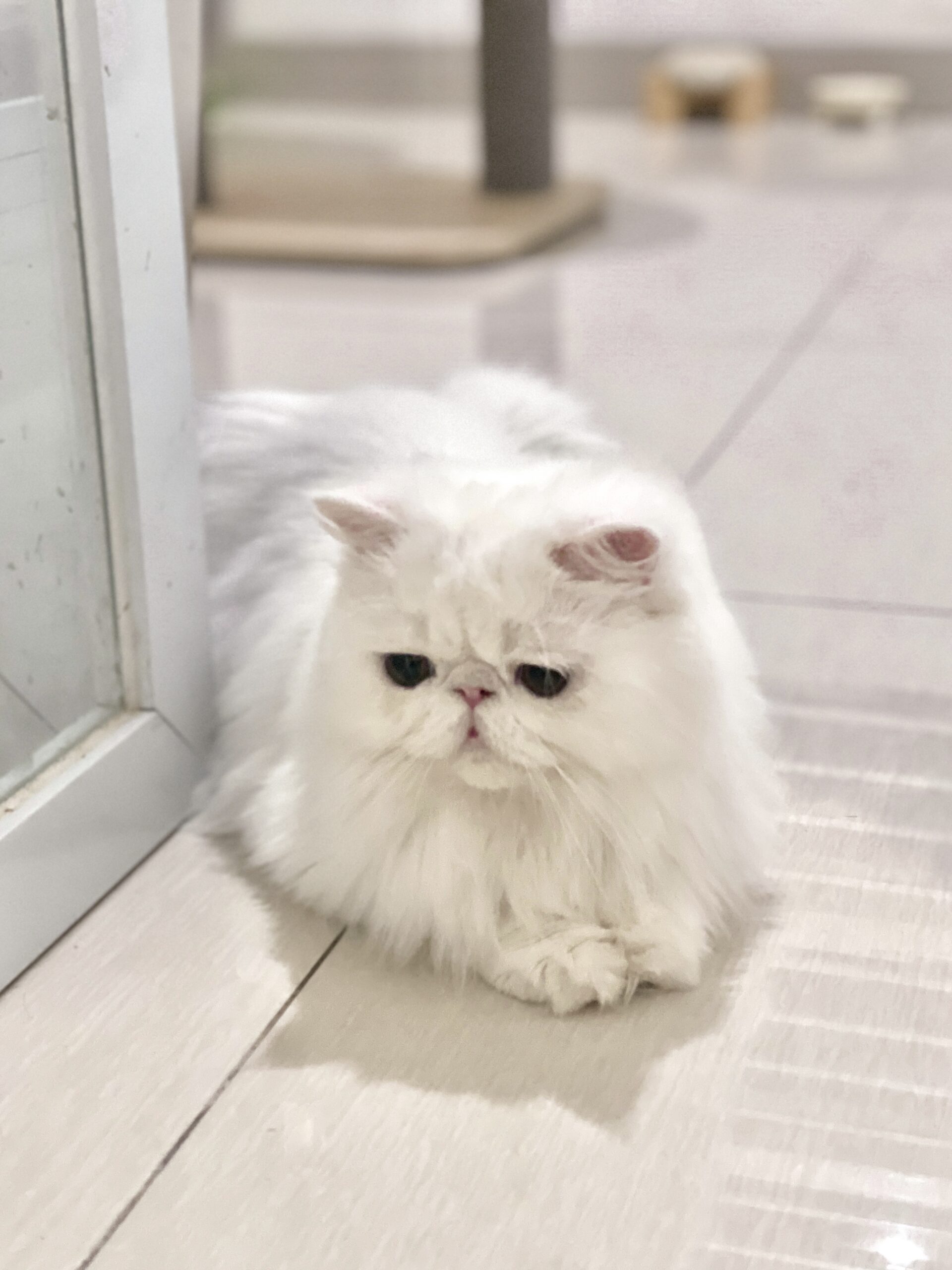 A5A8CB79-8C1E-4458-9C41-A93FA8D54538