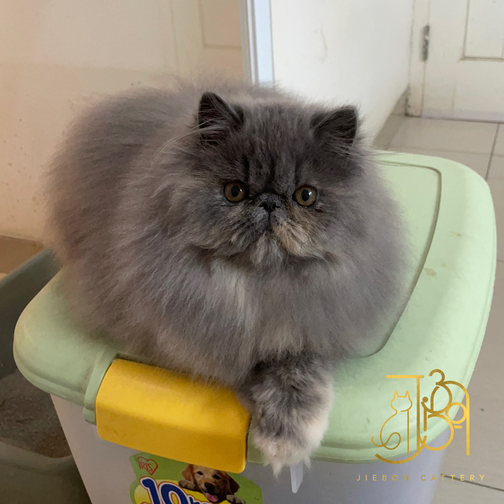 B8DBF24C-76BA-4C68-BDA1-F89CDC0B6E31