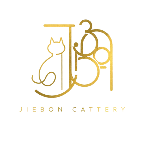 WhatsApp_Image_2022-12-05_at_11.13.40_AM-removebg-preview