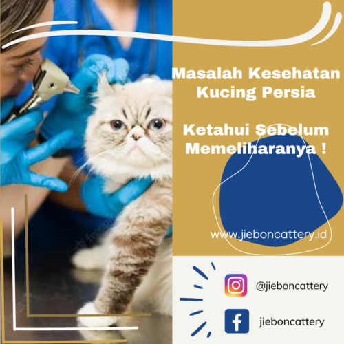 84229897-3DDC-4580-BC4D-3EE8EE964147