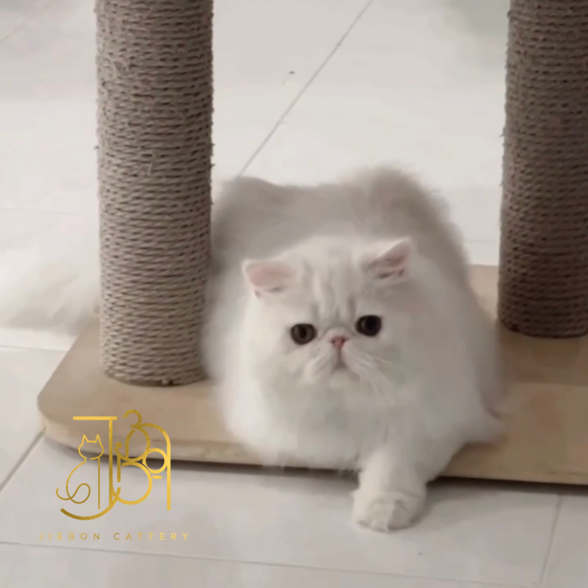 2764851F-4E86-4F20-9BA2-2AFF3451AE3E