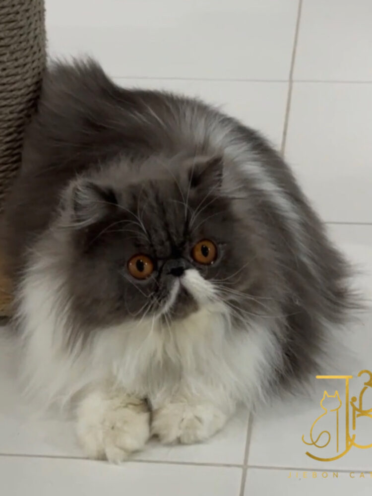 7BE48980-7784-42DA-9268-6A3DB09C2E09