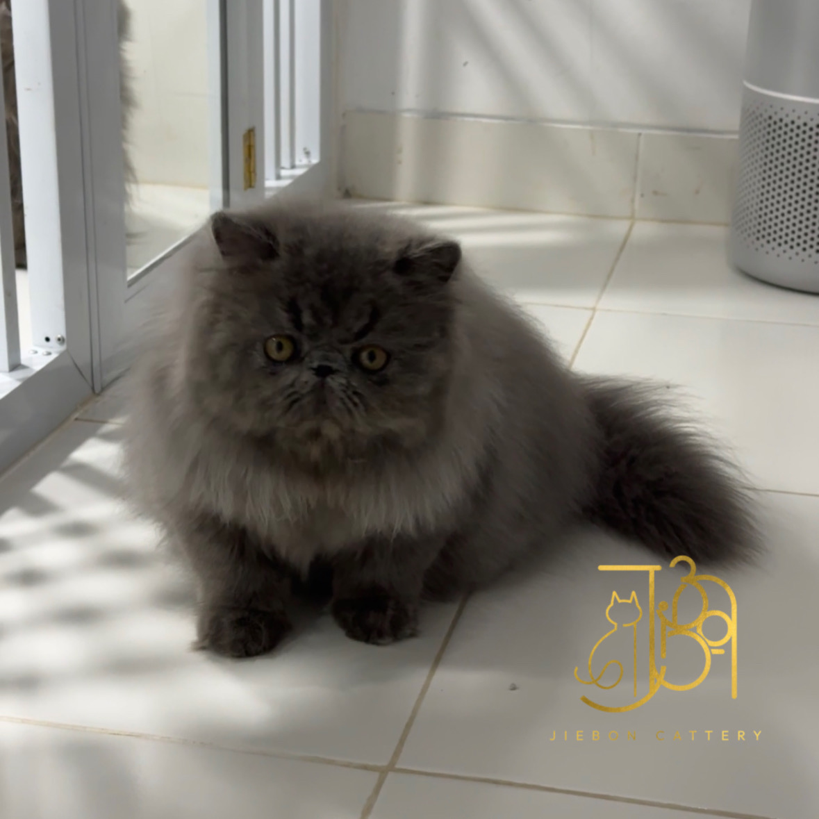 994DD561-B9DB-4ED1-B4EE-39051F3D0F92