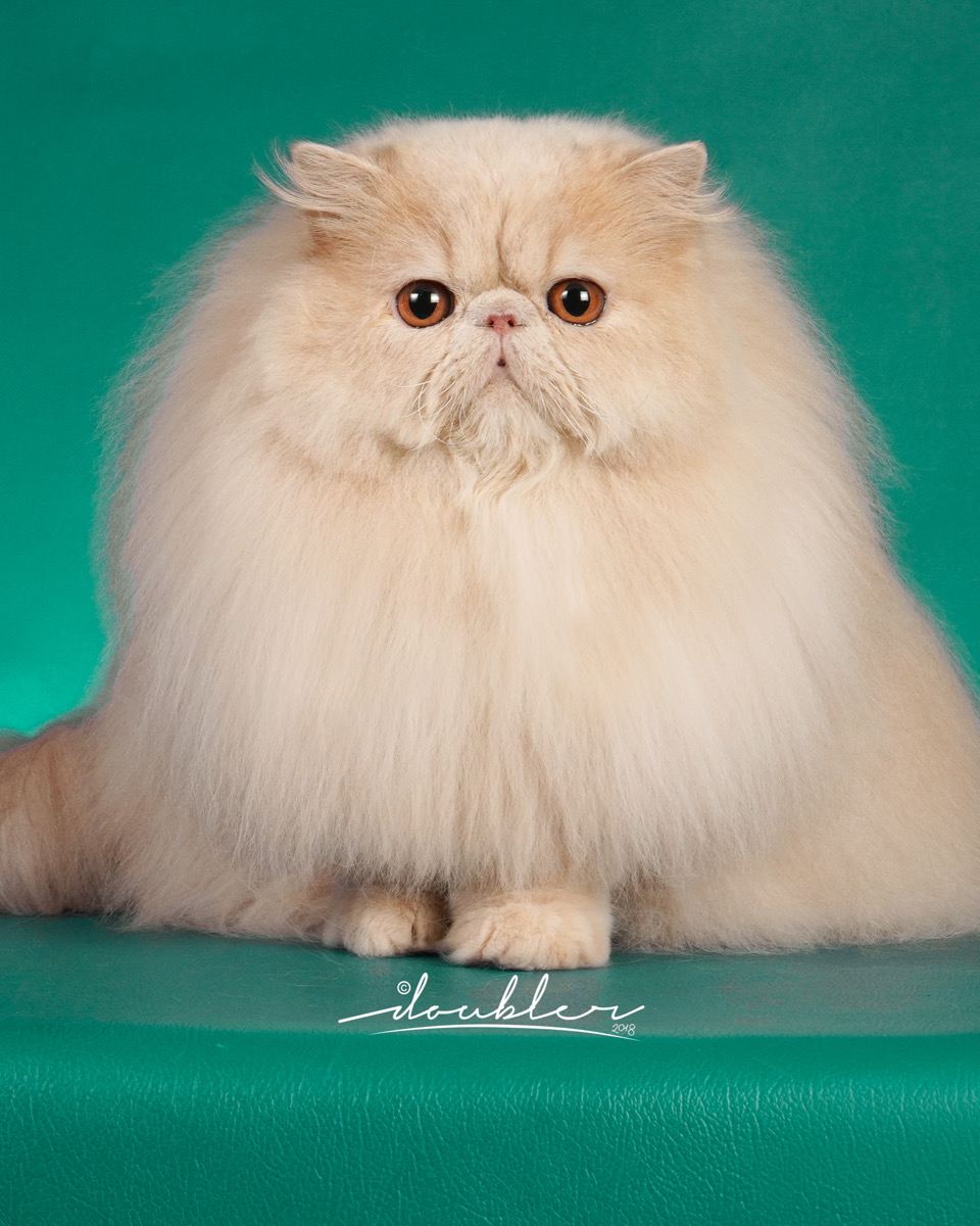 D93138D2-DE2C-4227-A24C-009D703E23A5