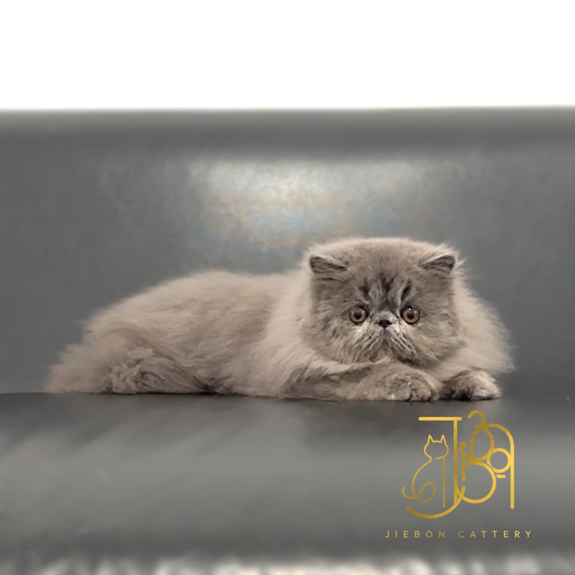 F4E83D5F-804F-4B27-84CE-00EBF50B449B