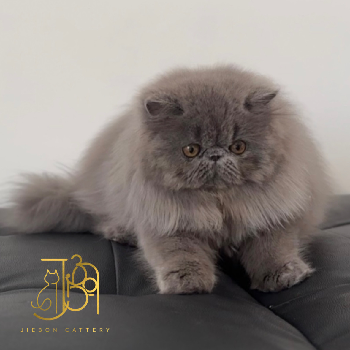 F69ED580-338E-4788-AA4F-6BCCE7FB7D77