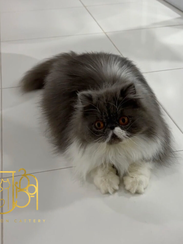 F8A7177A-5844-493D-8106-AAA25CD1E106