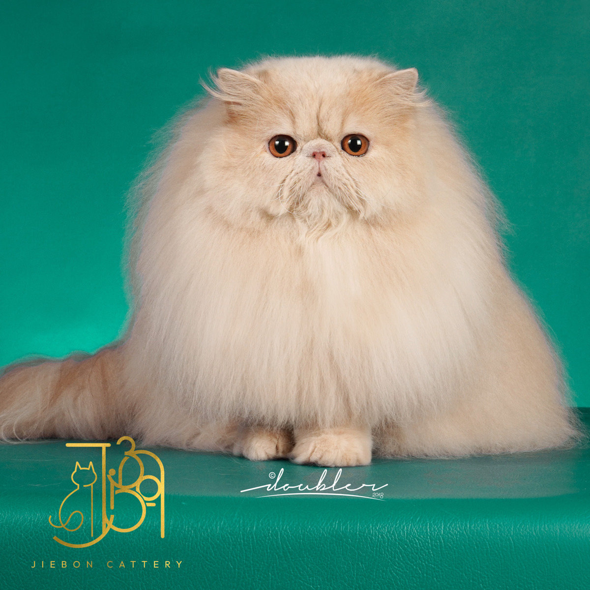 F98376AD-724D-4E42-B788-9DF0F2BC9D9B