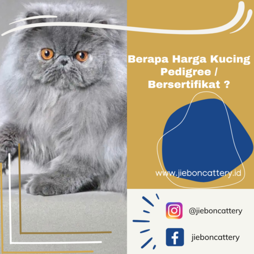 Grey and White Photo Homewares Online Business Social Feed Ad