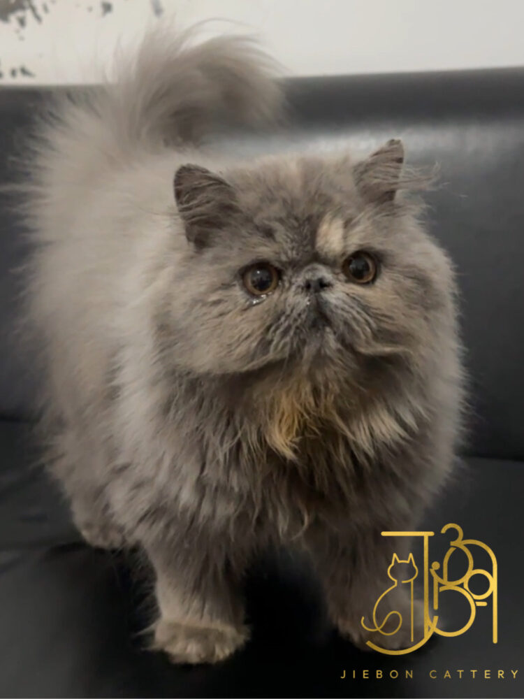 1B7C83C6-2E9A-4639-8A81-BDC020139BFB