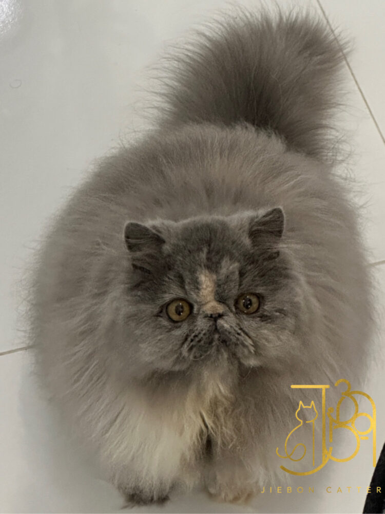 3049AAD8-0A3A-48C0-AA92-D663323B943A