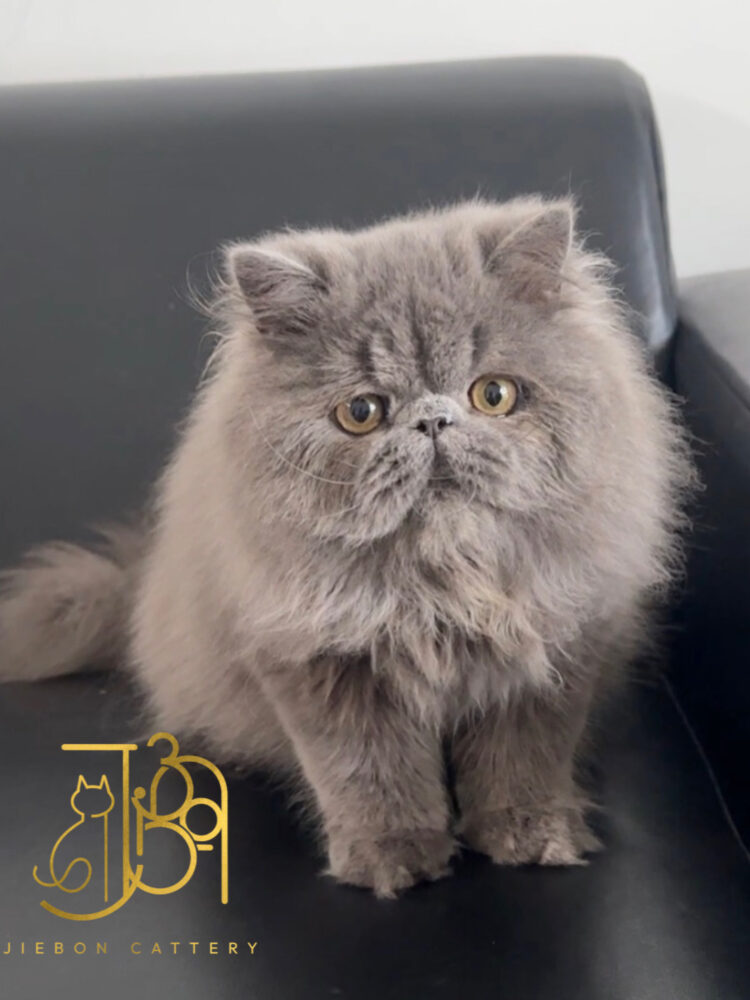 307A0C1C-69FB-47D0-B4E0-0BC2EBE5837A