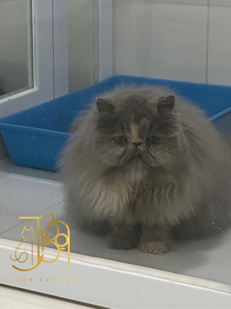 5A377541-6743-4CF8-92F2-EEBAE23884B0