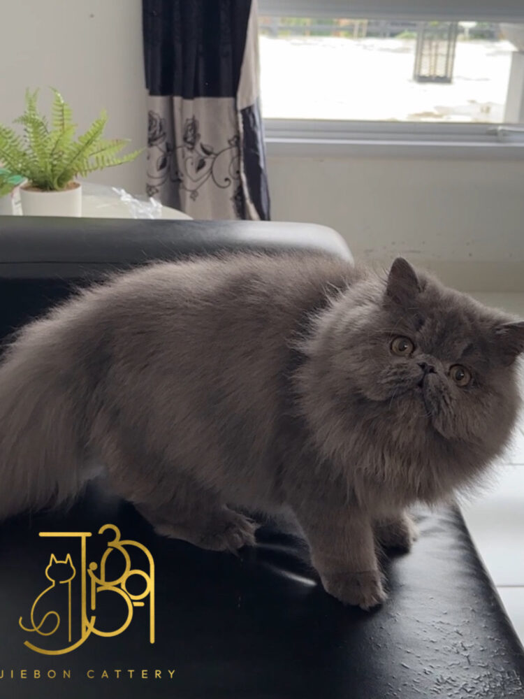 78D6CDE8-6391-467D-ABEF-FA40FE9E1D11