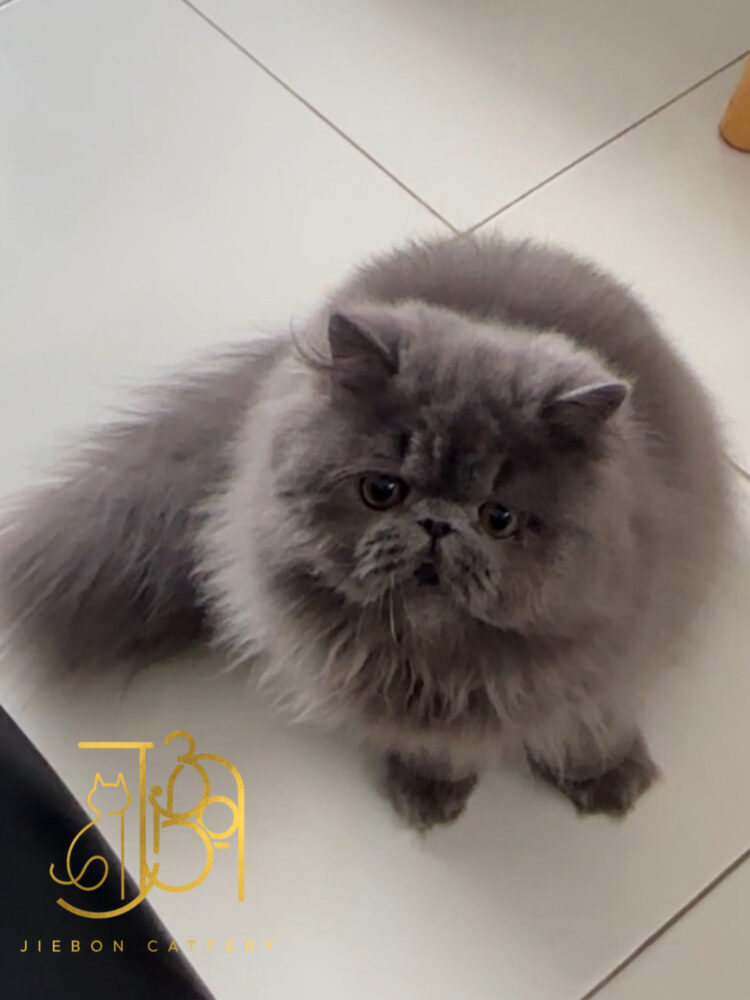 81D019ED-53EA-470C-A4B3-620ECB93348F