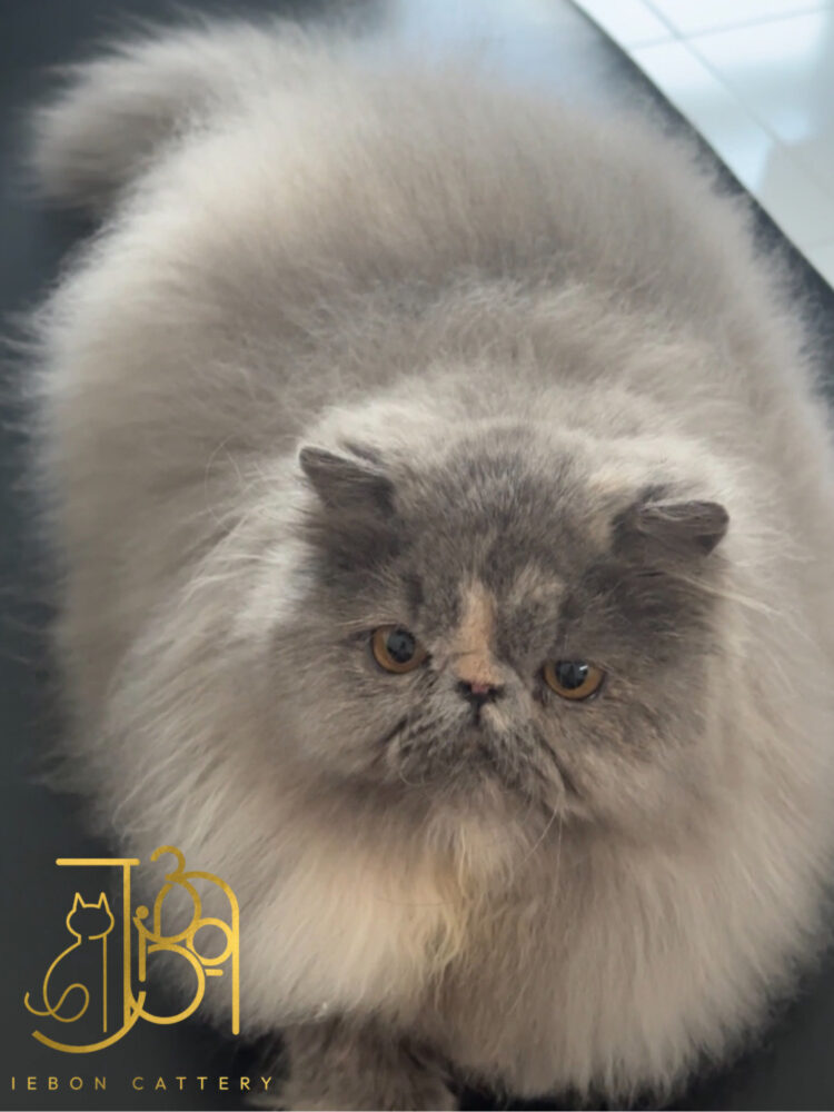 B9E978B8-BB0C-4C3C-8BEC-143F0A5415C6